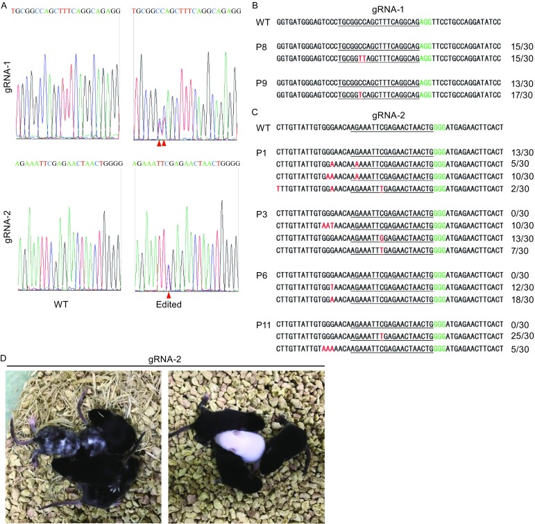 Figure 3