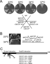 FIG. 2.