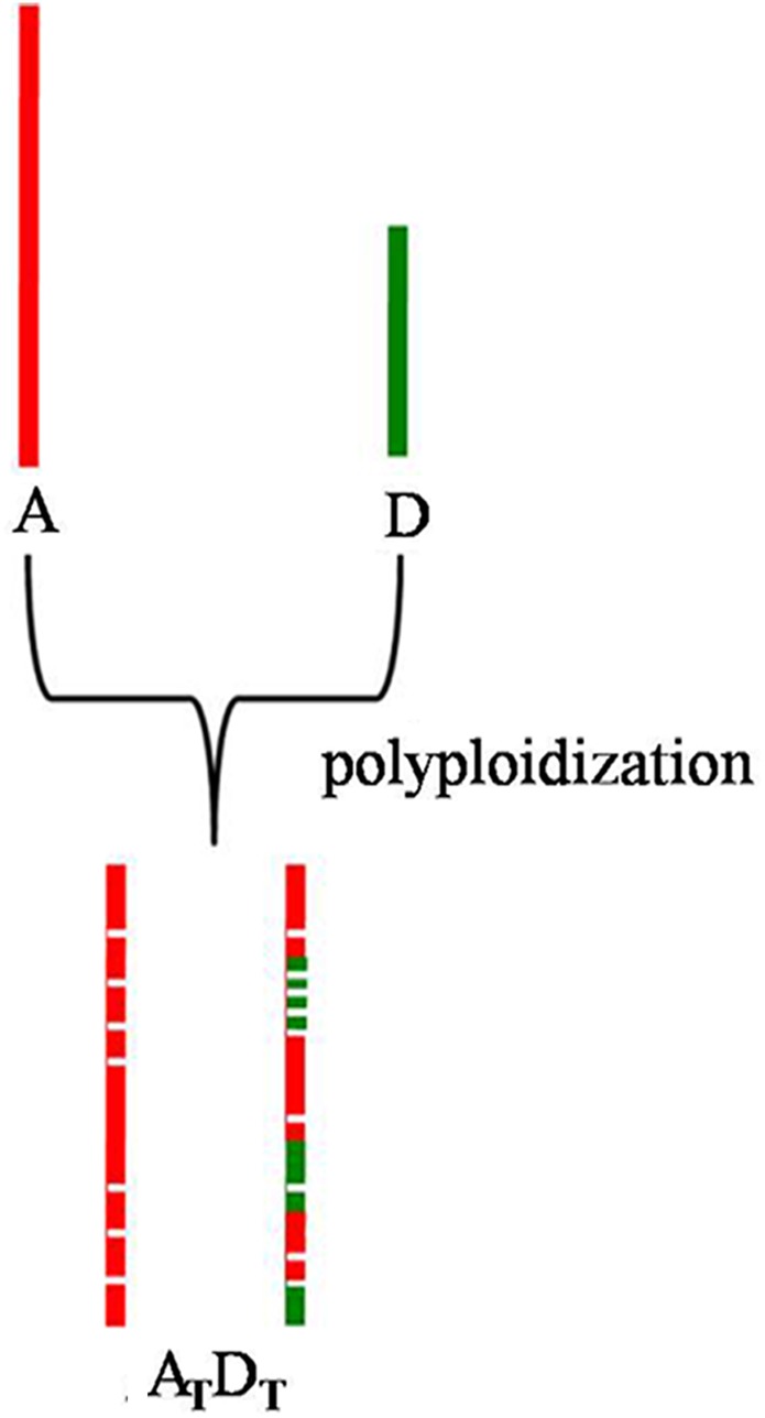 Figure 5.