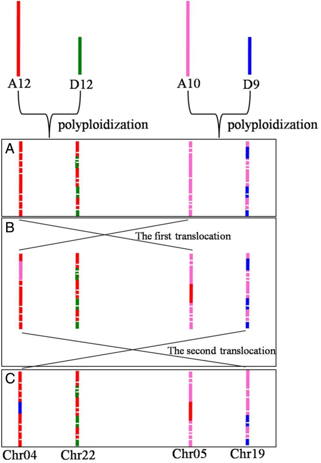 Figure 6.