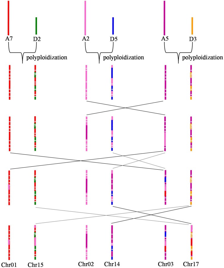 Figure 7.