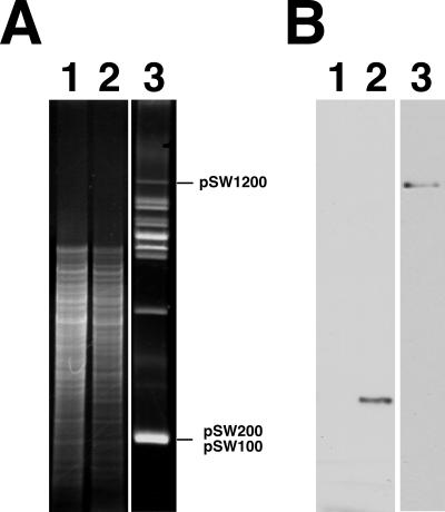 FIG. 7.