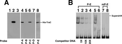 FIG. 5.