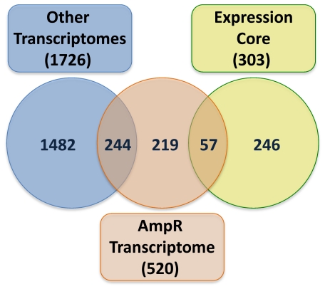 Figure 11