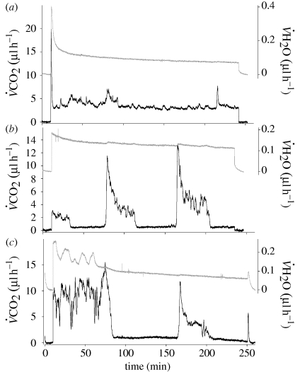 Figure 1.