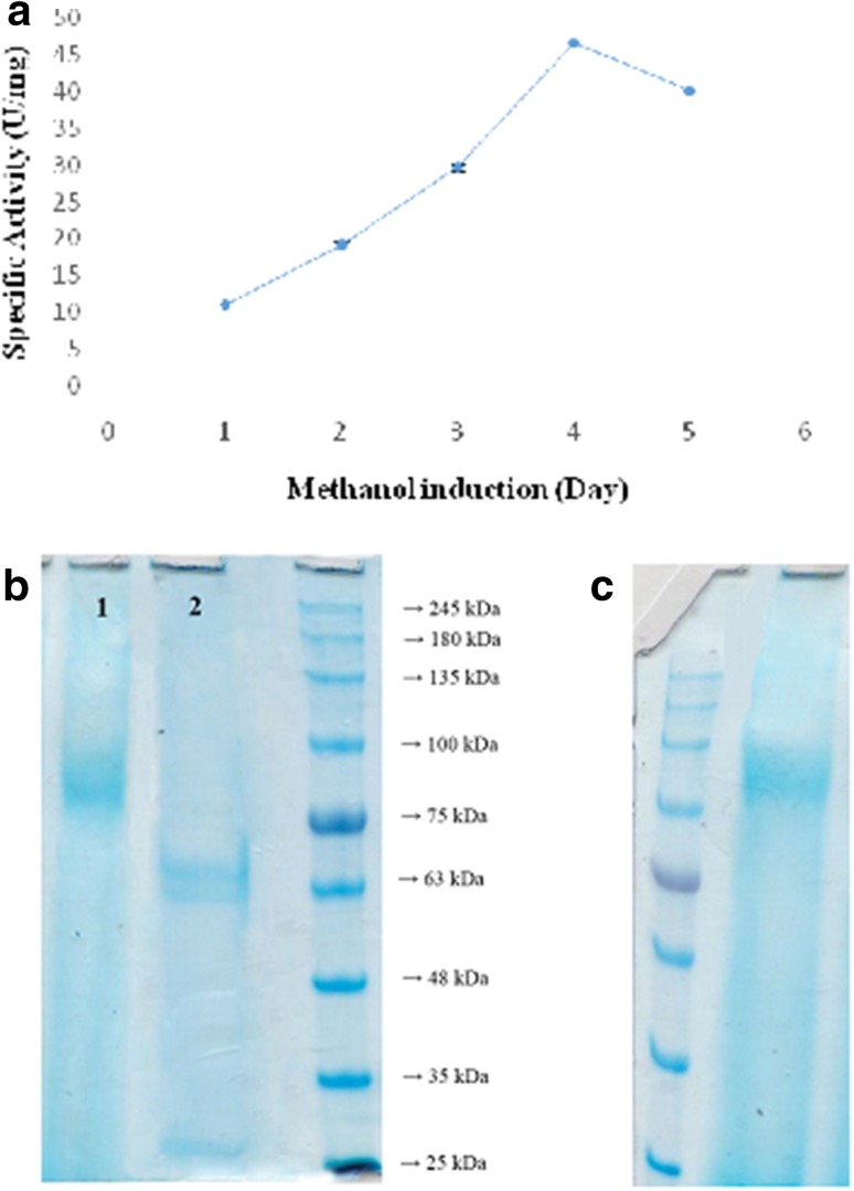 Fig. 4