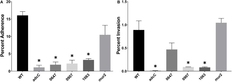 FIGURE 4