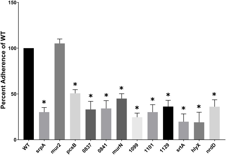 FIGURE 2