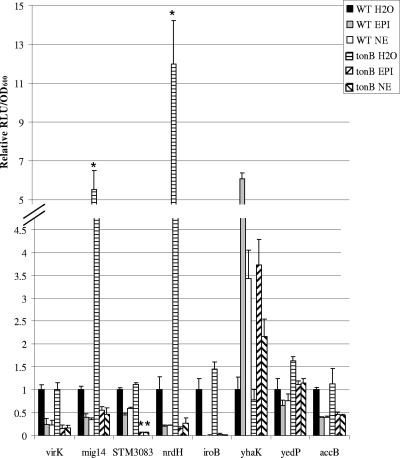 FIG. 7.