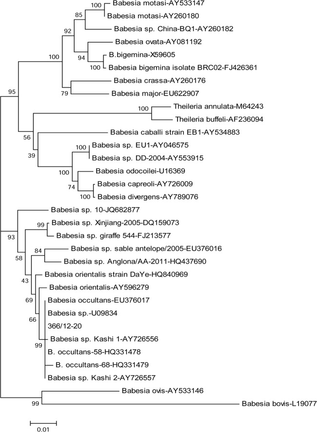 Fig 1