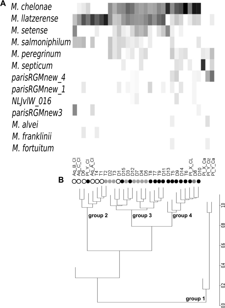 Fig 4