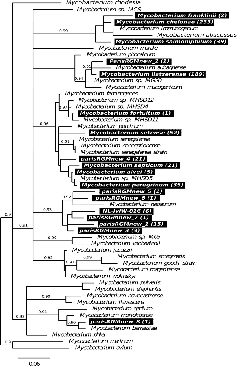 Fig 3