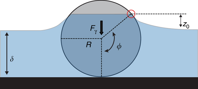 Fig. 5