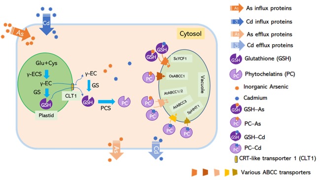 FIGURE 2