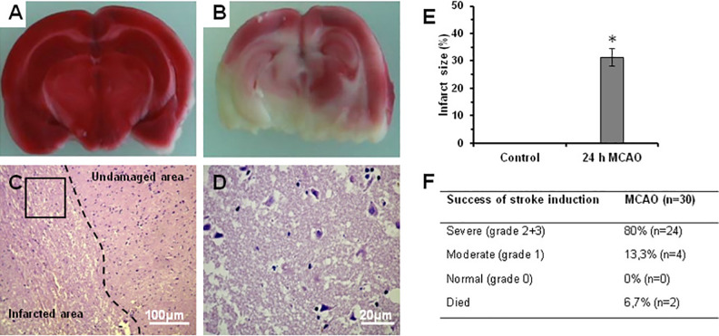Figure 5.