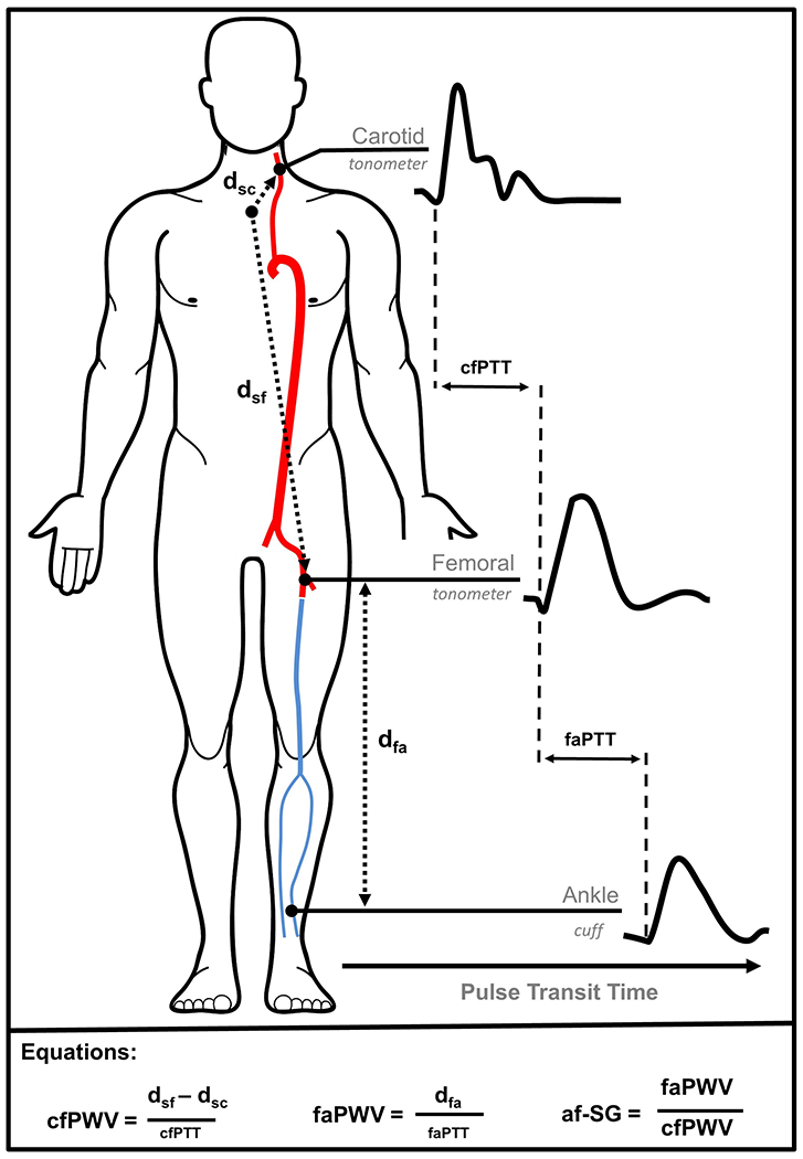 FIGURE 1.