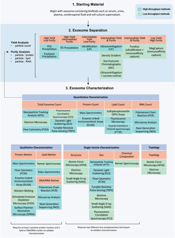 Scheme 3