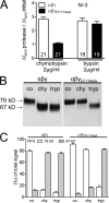 Figure 10.