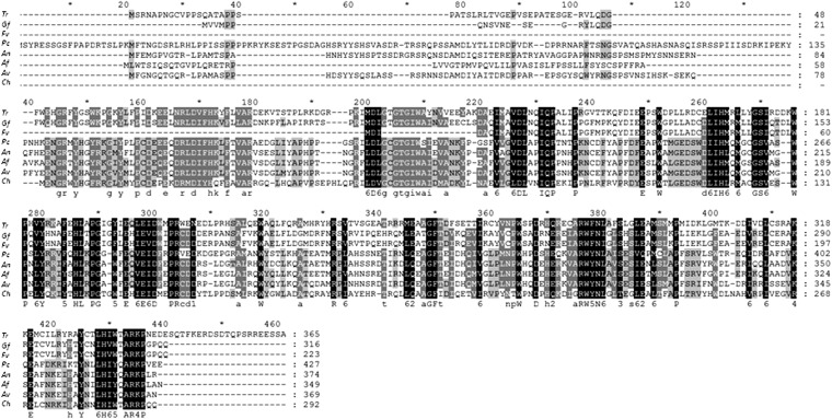 Figure 4 