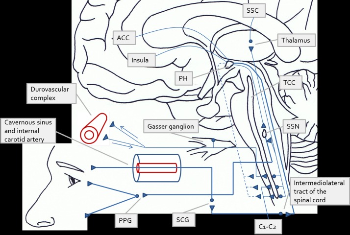 Fig. (1)