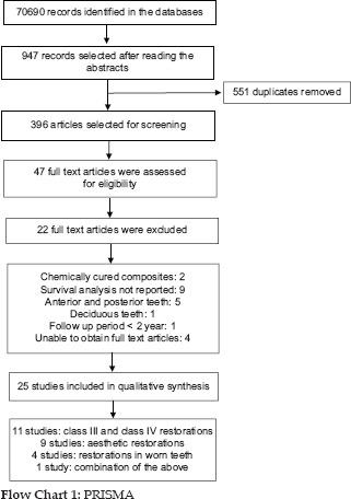 Flow Chart 1