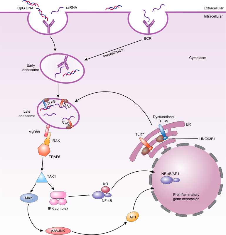 Figure 2