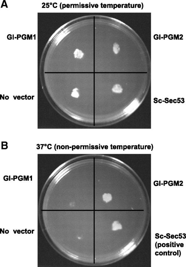 Fig. 5