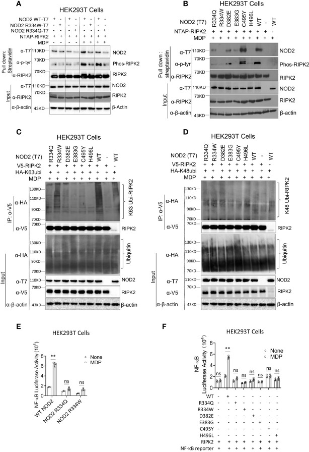 Figure 2