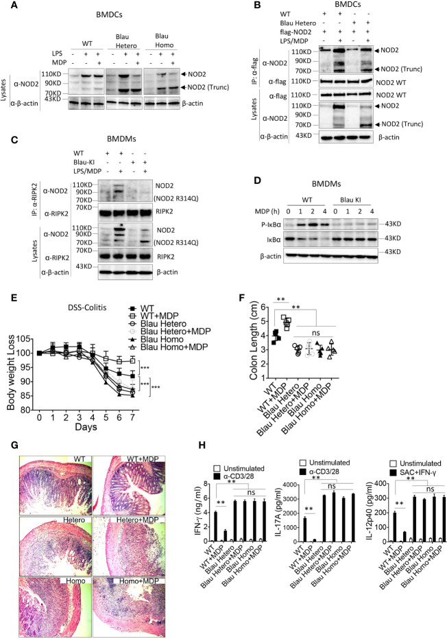 Figure 6