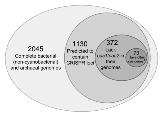 graphic file with name rna-10-687-g4.jpg