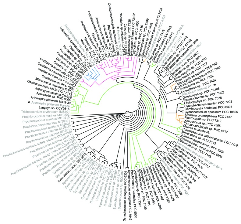 graphic file with name rna-10-687-g1.jpg