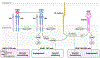 Fig. 2.