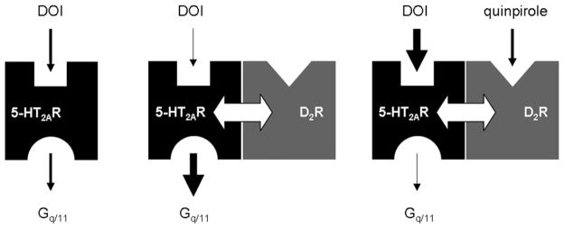 Fig. 5