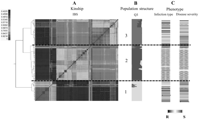 Fig. 1