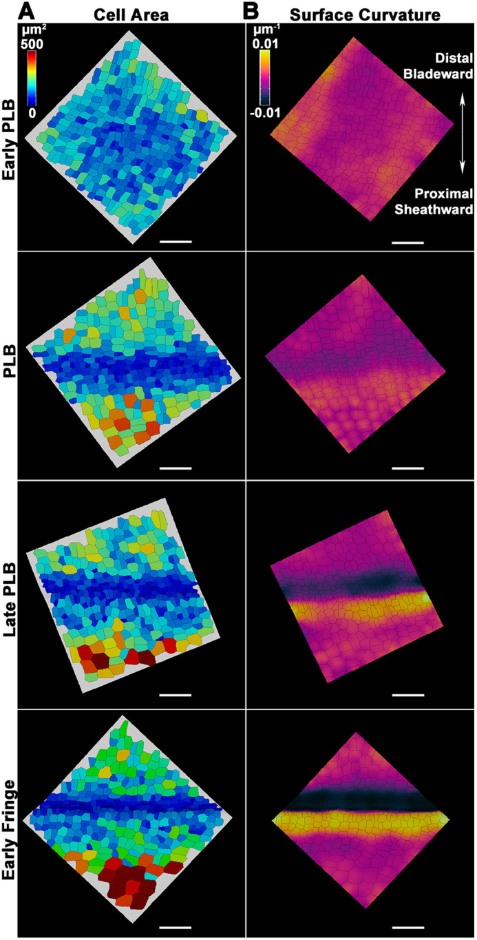 Fig. 3.