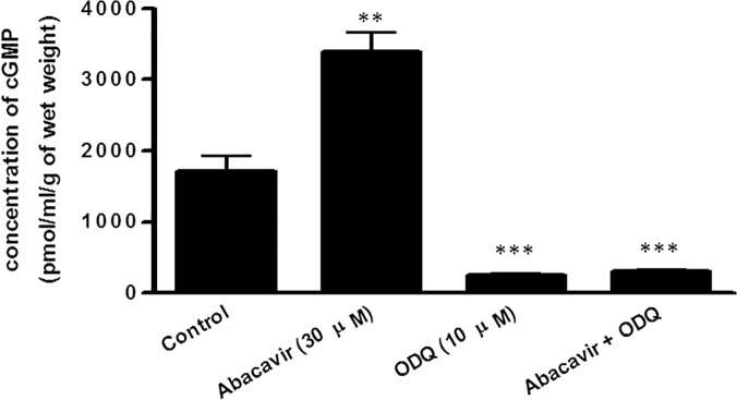 Fig 5