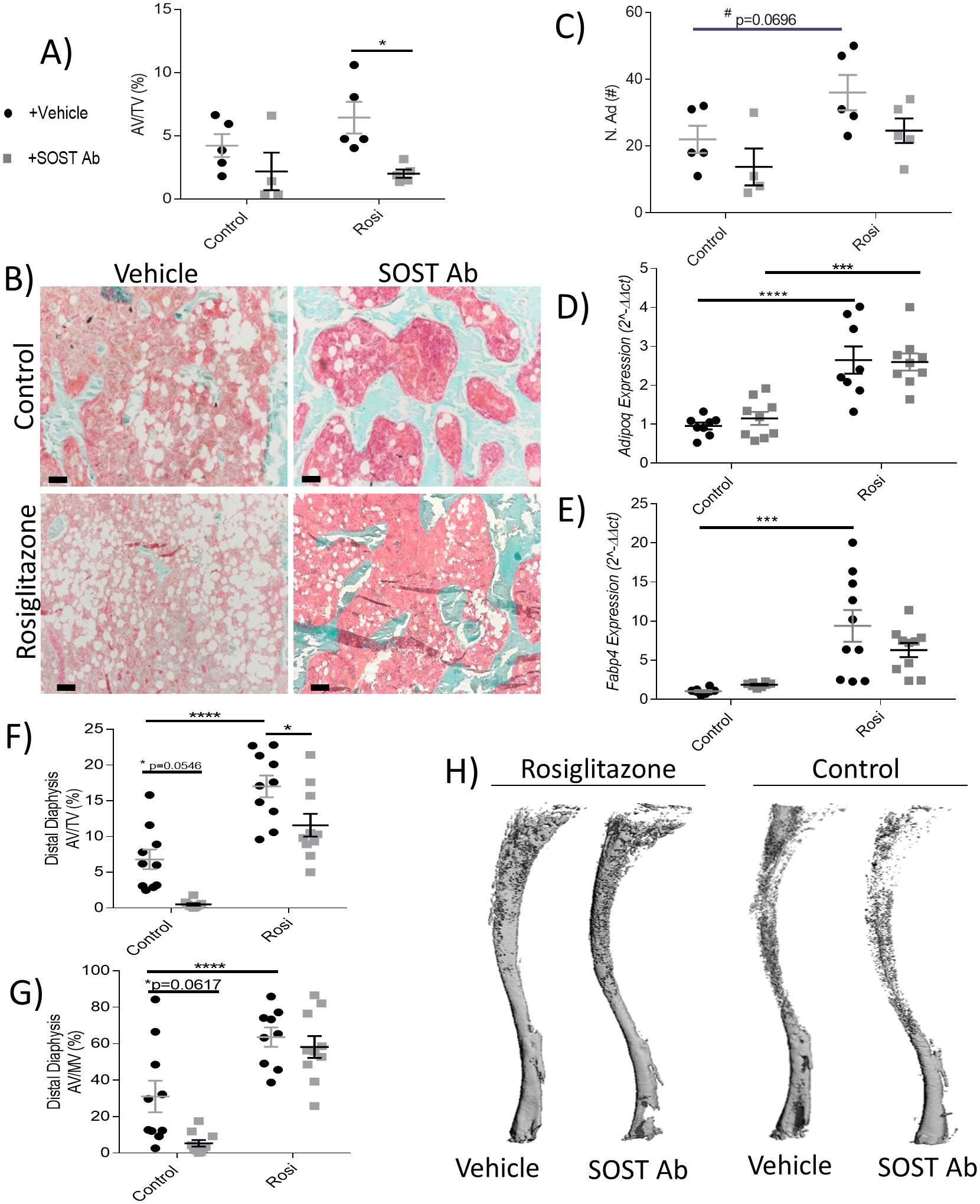 Figure 5: