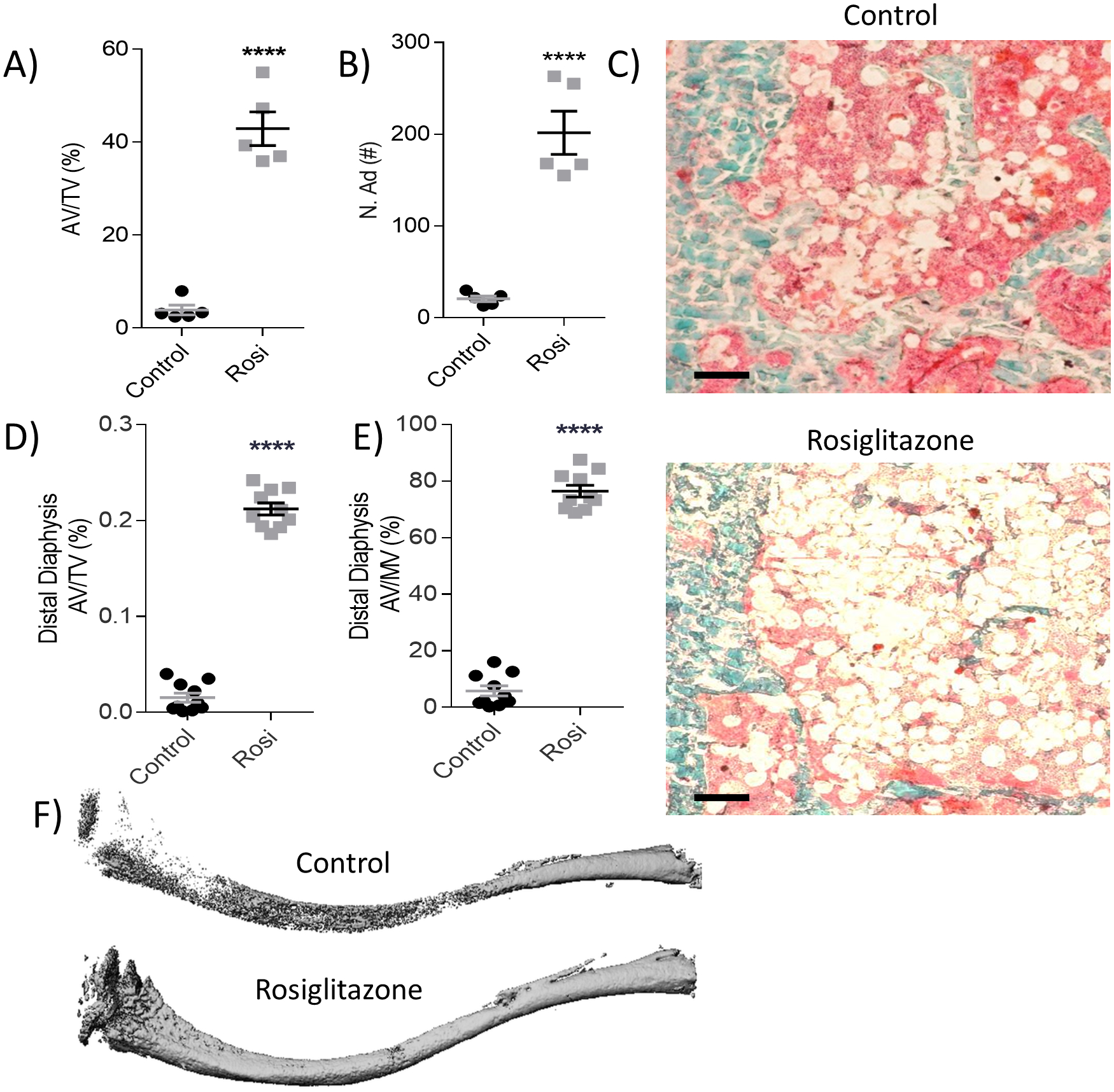 Figure 3: