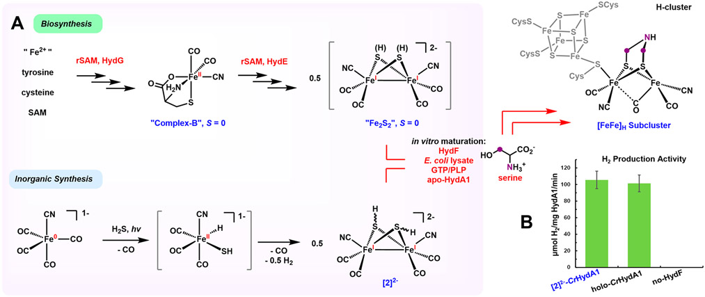 Figure 1.