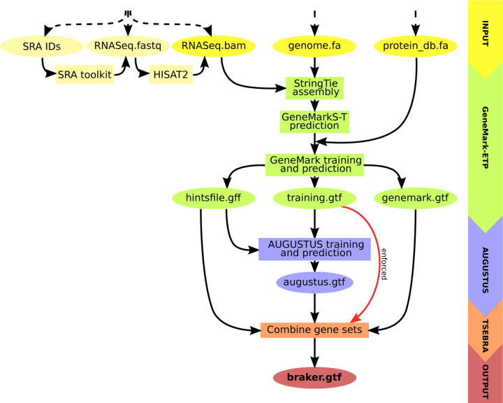 Figure 1: