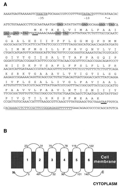 FIG. 1