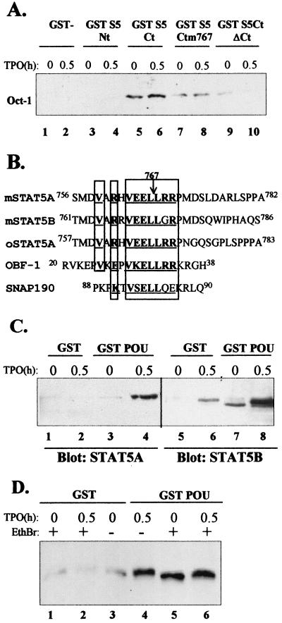 FIG. 5.