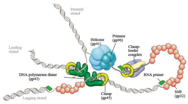 Fig. 10