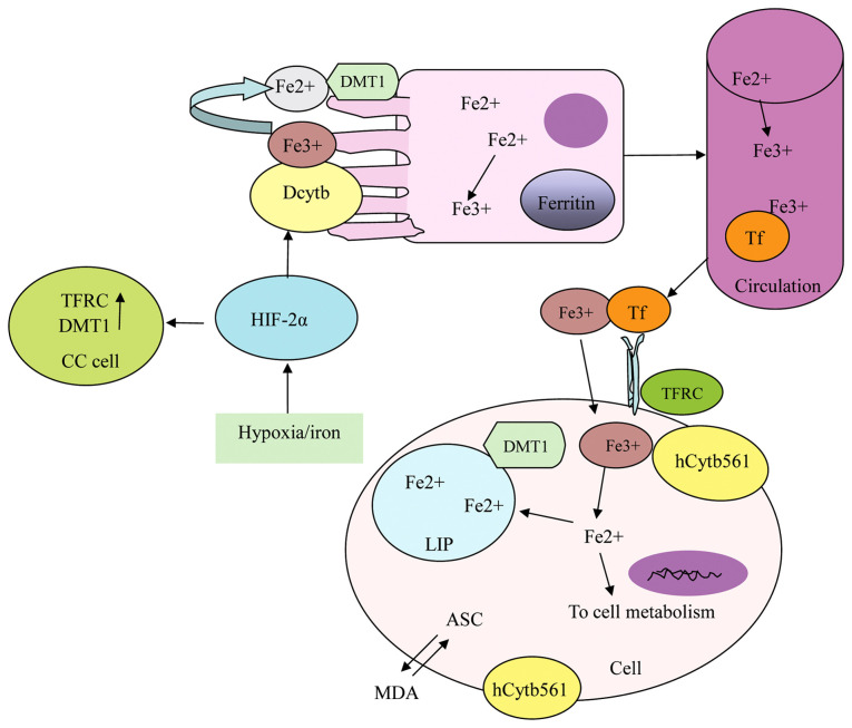 Figure 3.