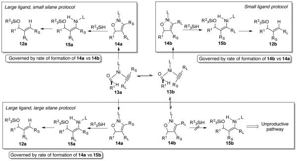 Scheme 8