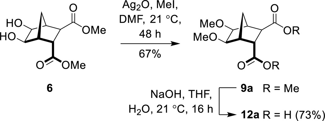 Scheme 4