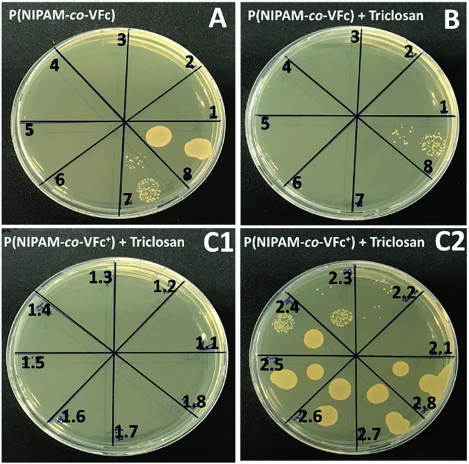 Fig. 8