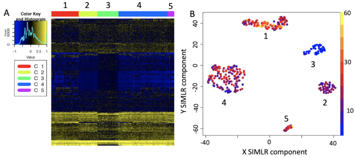 Figure 6: