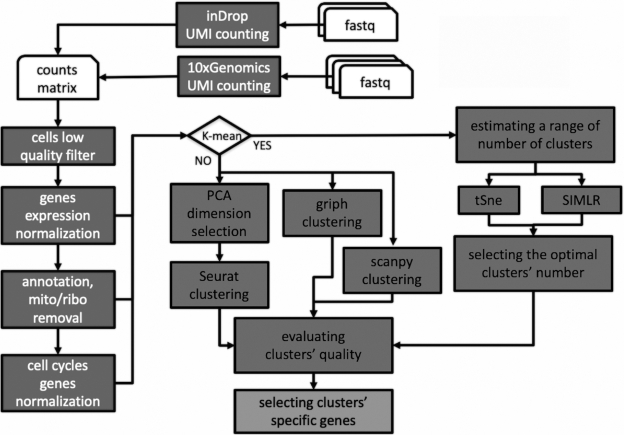 Figure 1: