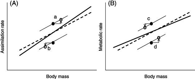 Fig 5